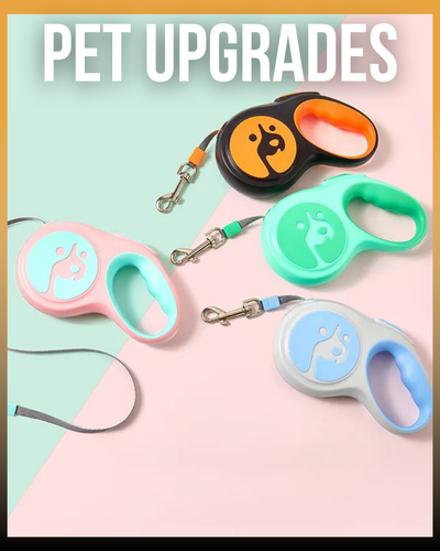 PET LIFESTYLE UPGRADES