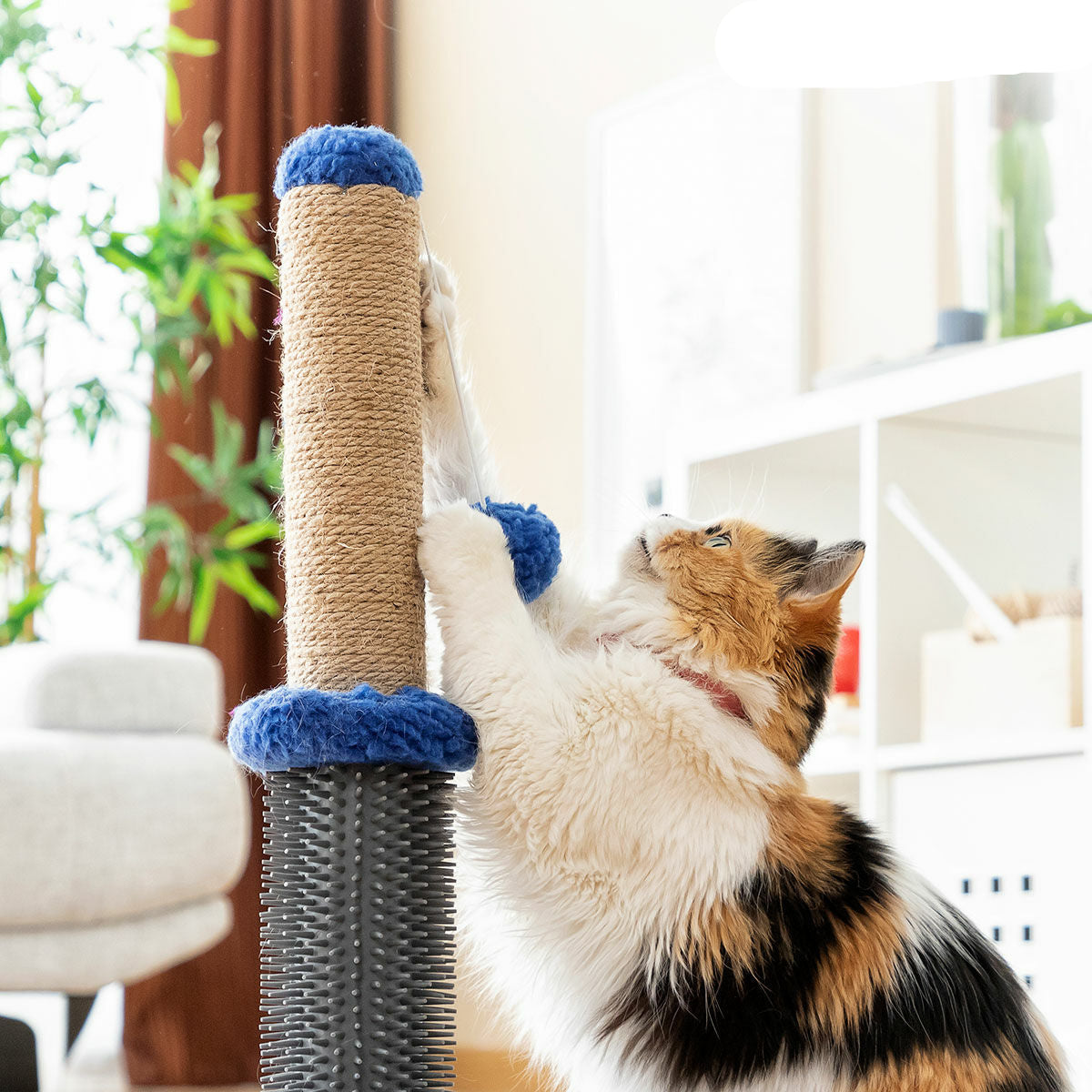 Cat playing with a scratching post in a home setting, with 'InnovaGoods' branding visible.