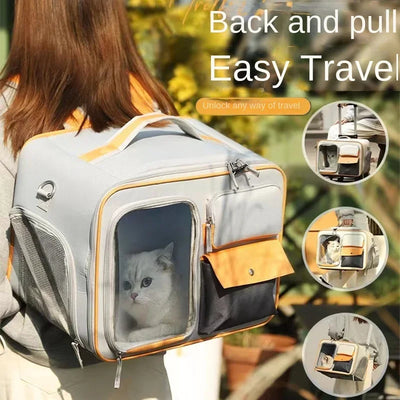 Pet carrier backpack with a cat inside, being carried by a person outdoors.
