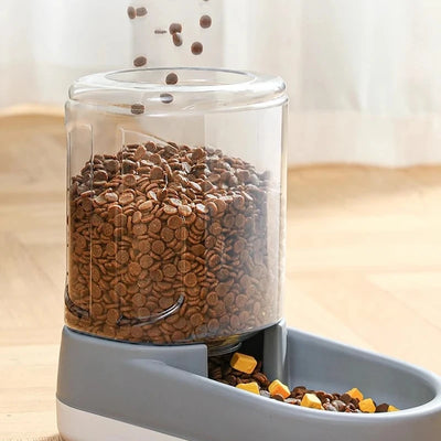 Pet food dispenser with dry and wet food on a wooden surface