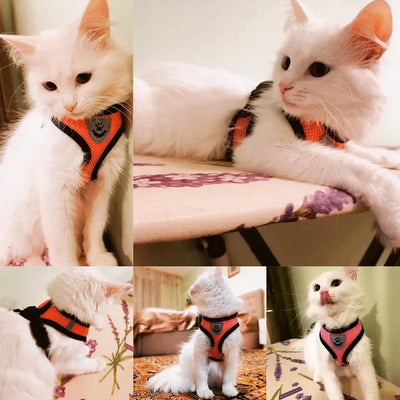 Adjustable Mesh Cat Collar with Leash