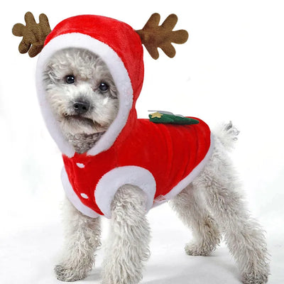 Christmas Winter Holiday Pet Coat
