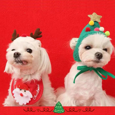 Festive Christmas Pet Costume Set