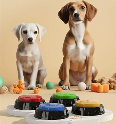Two dogs sitting next to colorful buttons on a beige background