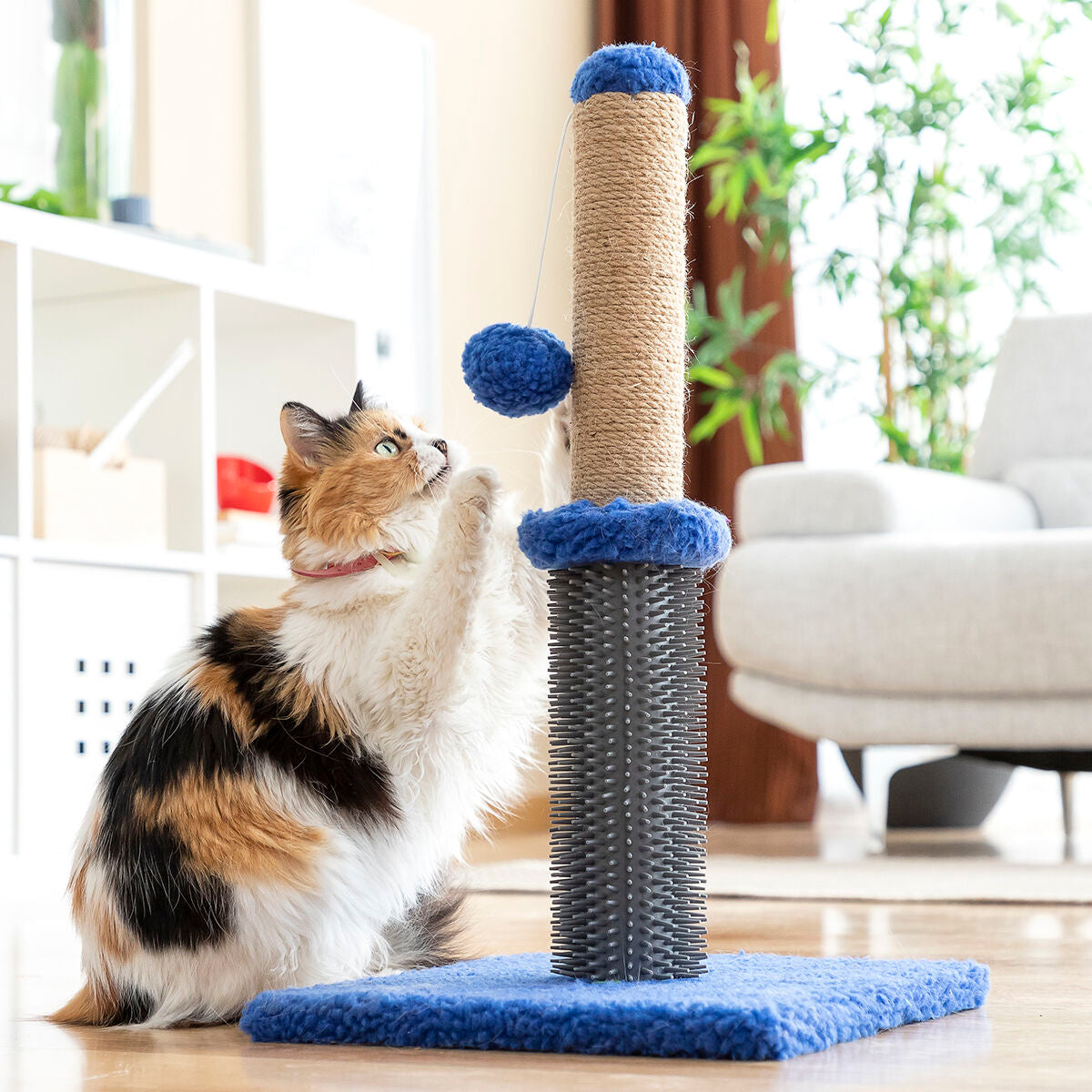 Cat playing with a scratching post in a living room