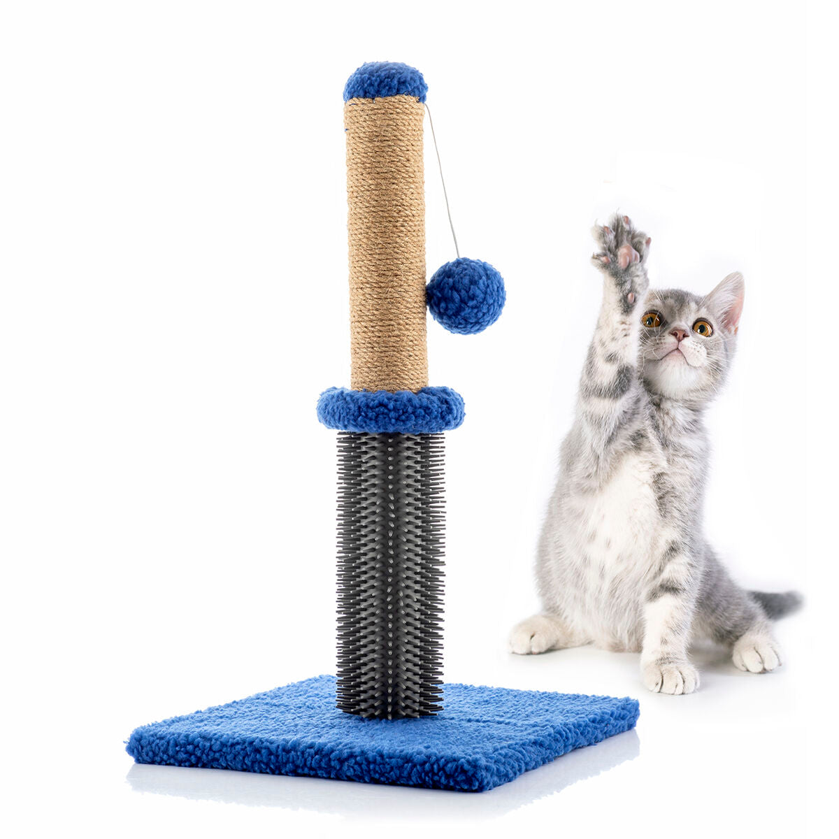 Cat playing with a scratching post with blue accents on a white background