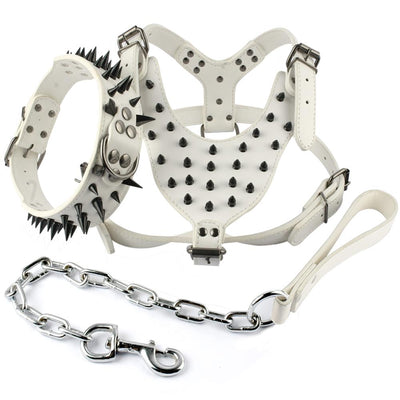Spiked Leather Dog Harness Collar and Chain Leash