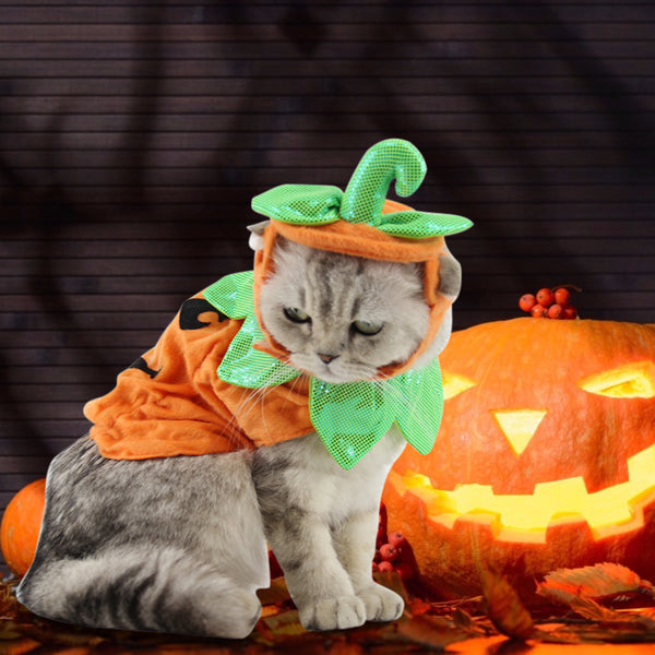 Halloween Pet Cats Costume