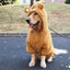 Thickened Pet Autumn And Winter Clothing For Medium And Large Dogs