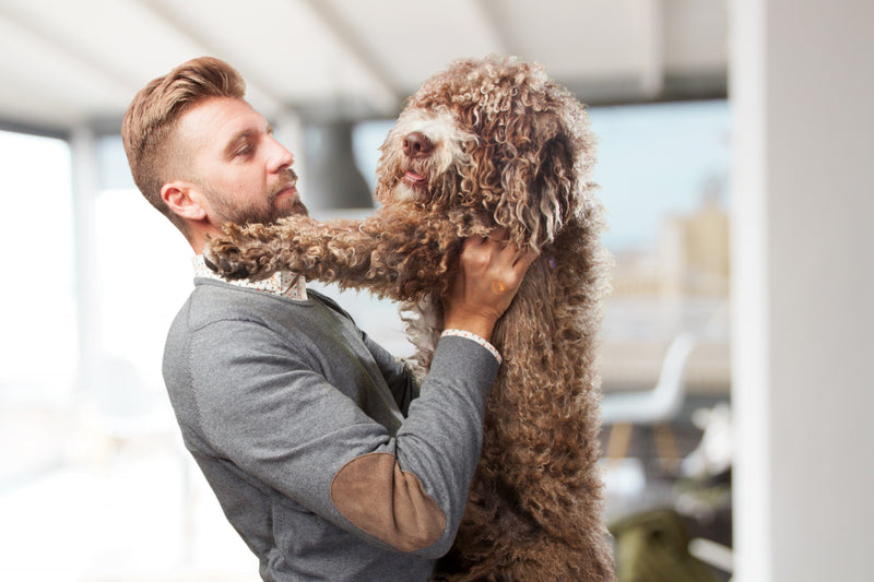 Grooming Made Easy