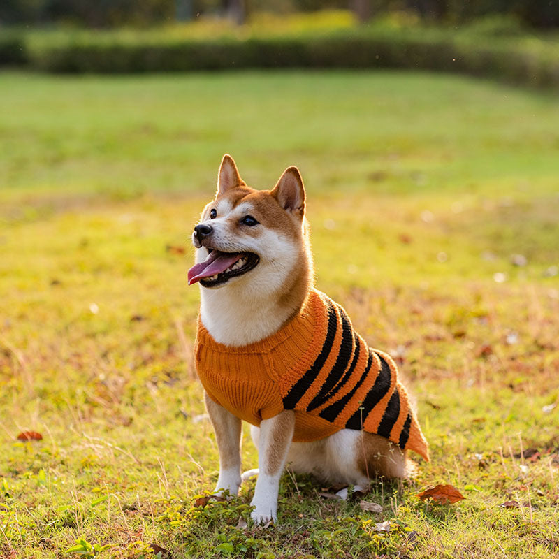 Halloween Pet Sweaters