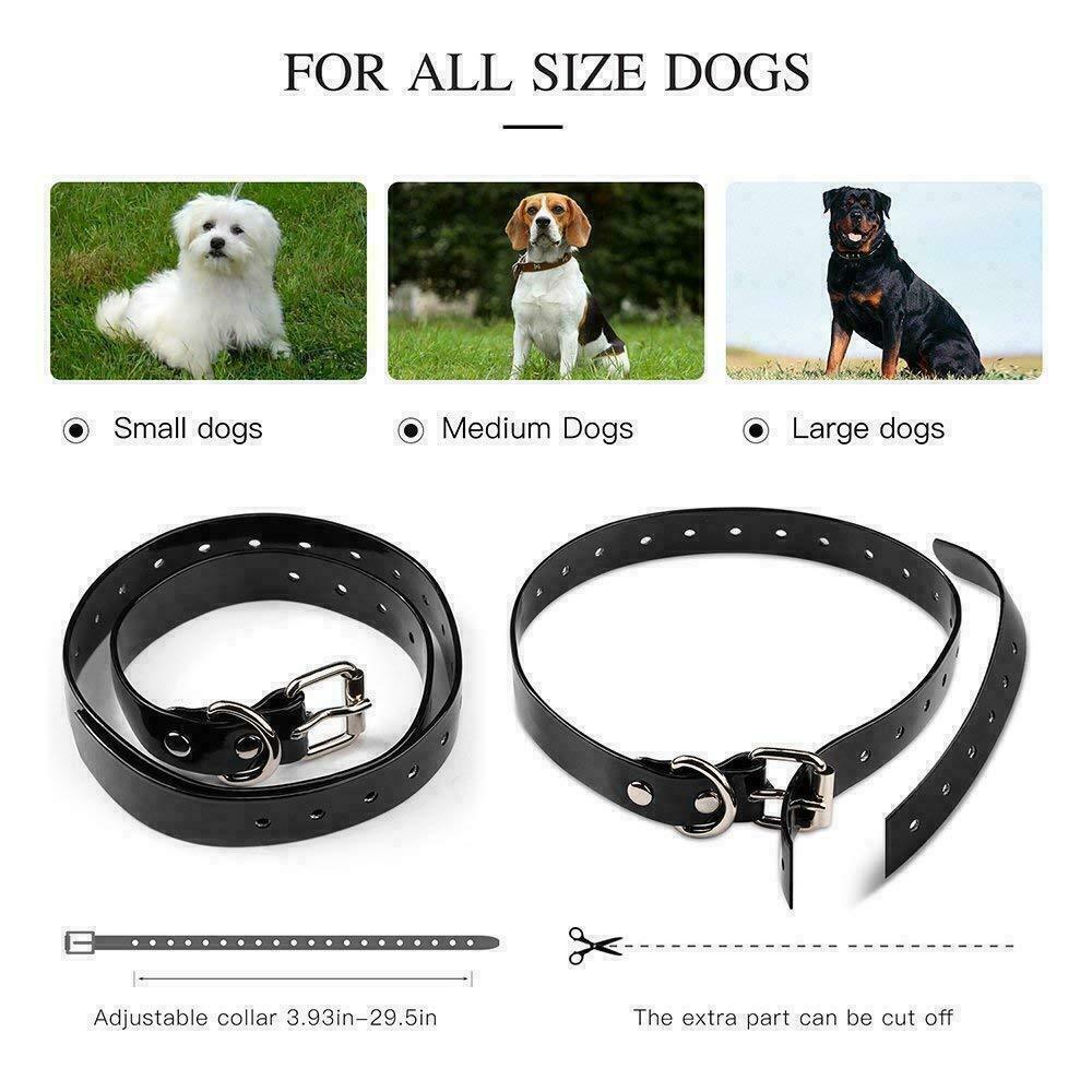 Dog Training Collar | Shock Collar for Dogs | Furry Friend Necessities