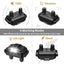 Dog Training Collar | Shock Collar for Dogs | Furry Friend Necessities