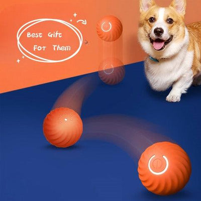 Interactive Dog Ball | Dog Ball Toy | Furry Friend Necessities