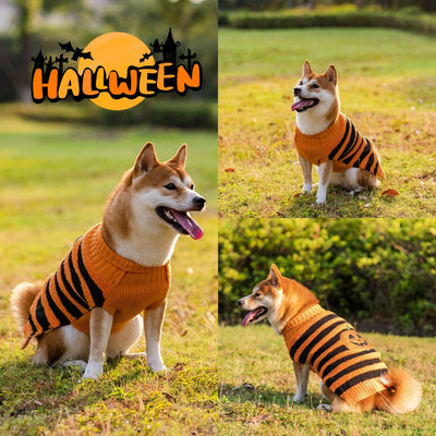 Halloween Pet Sweaters