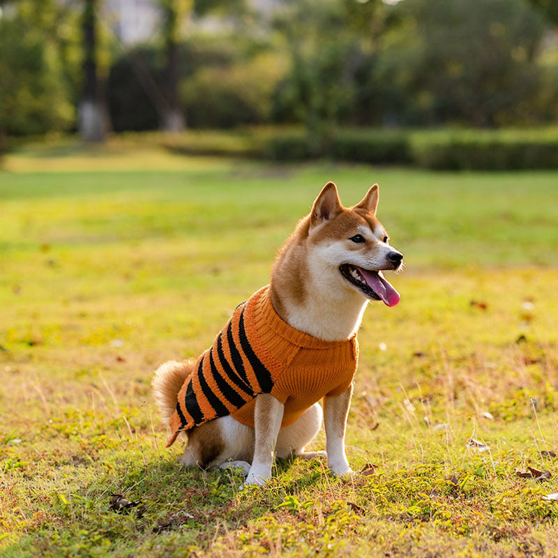 Halloween Pet Sweaters