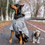 A small dog wearing the Pet Shield yellow weatherproof reflective raincoat, designed to keep pets dry and visible.