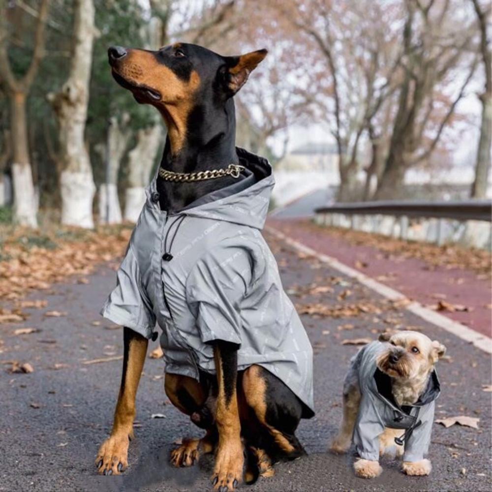 A small dog wearing the Pet Shield yellow weatherproof reflective raincoat, designed to keep pets dry and visible.