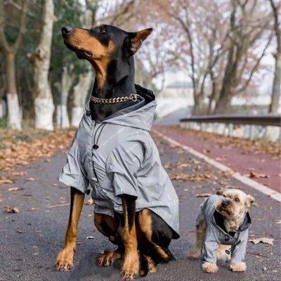 A small dog wearing the Pet Shield yellow weatherproof reflective raincoat, designed to keep pets dry and visible.