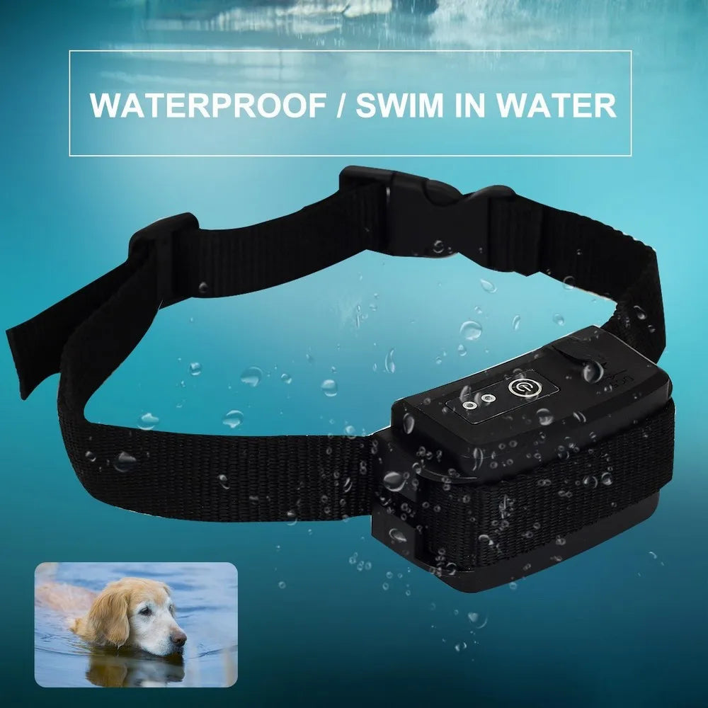 Black dog collar with water resistance feature on a blue background