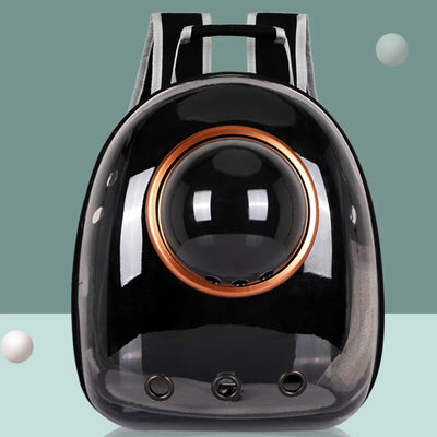 Black pet backpack with transparent sphere on a light blue background
