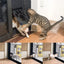 Cat using a pet door, with additional images of the pet door in use.