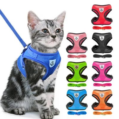 Cat wearing a blue harness with various color options displayed on a white background