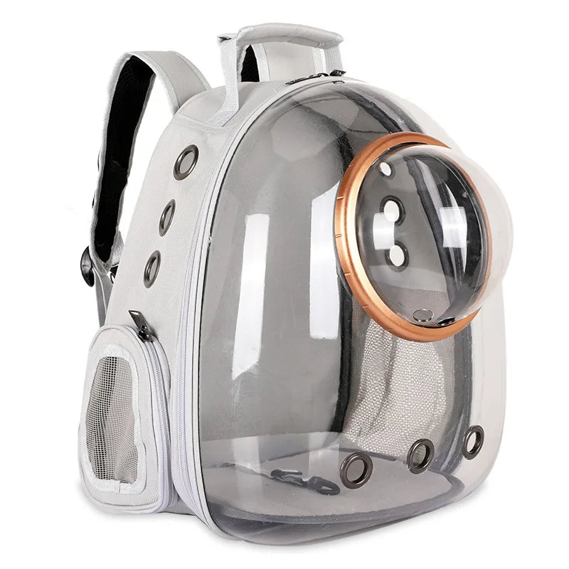 Clear pet backpack with a circular mesh front on a white background