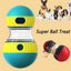 Colorful ball-shaped pet toy with a transparent center and visible treats, surrounded by images of dogs.
