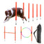 Dog agility equipment set with poles, hoop, and carrying bag on a white background
