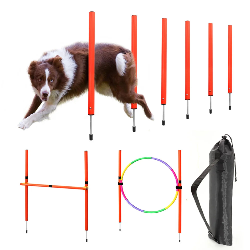 Dog agility equipment set with poles, hoop, and carrying bag on a white background