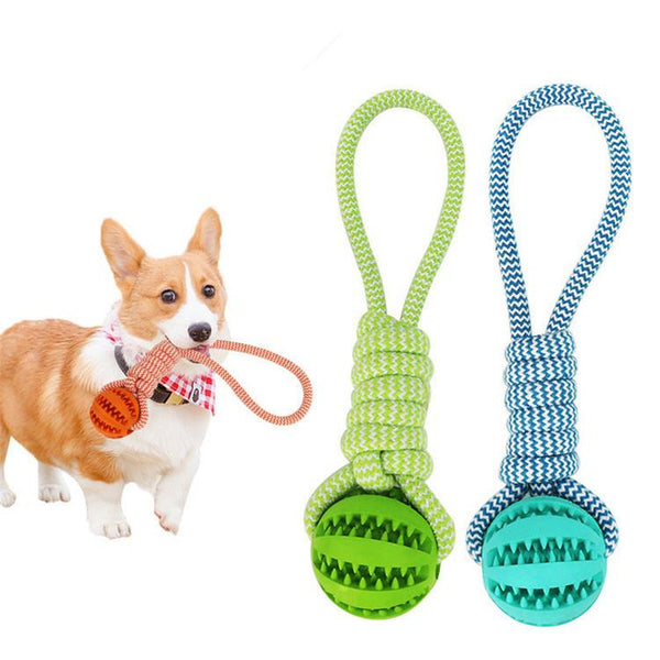 Dog holding a green rope toy with a ball, next to two other similar toys