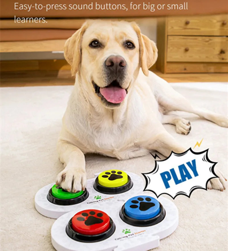 Dog interacting with a toy featuring colorful buttons on a carpeted floor.