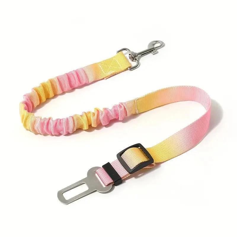 Dog leash with colorful striped design and car clip on a white background