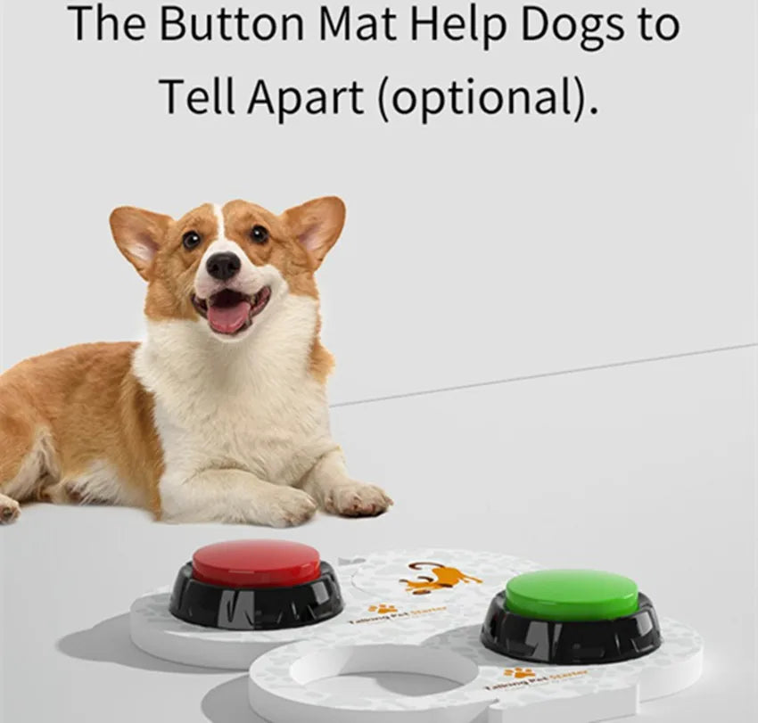 Dog lying next to a button mat with red and green buttons on a white background