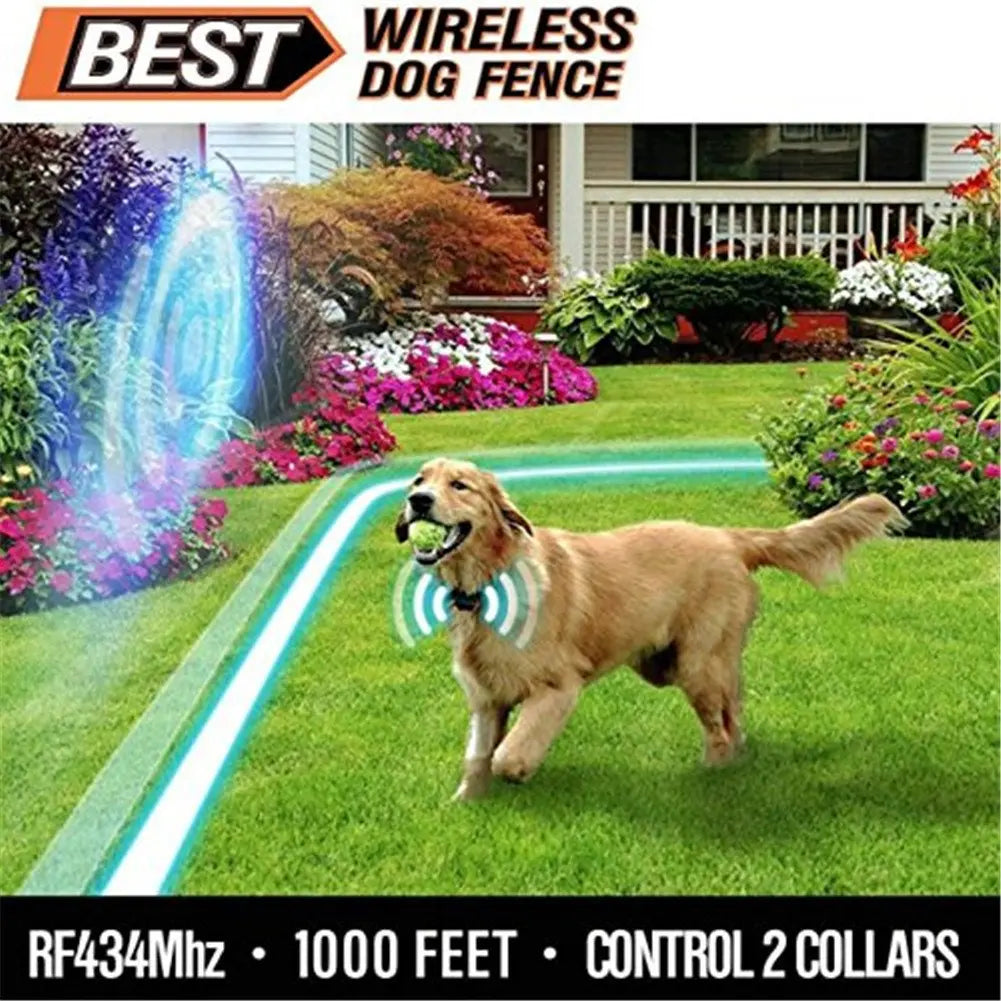 Dog playing with a ball near a wireless dog fence system in a garden.
