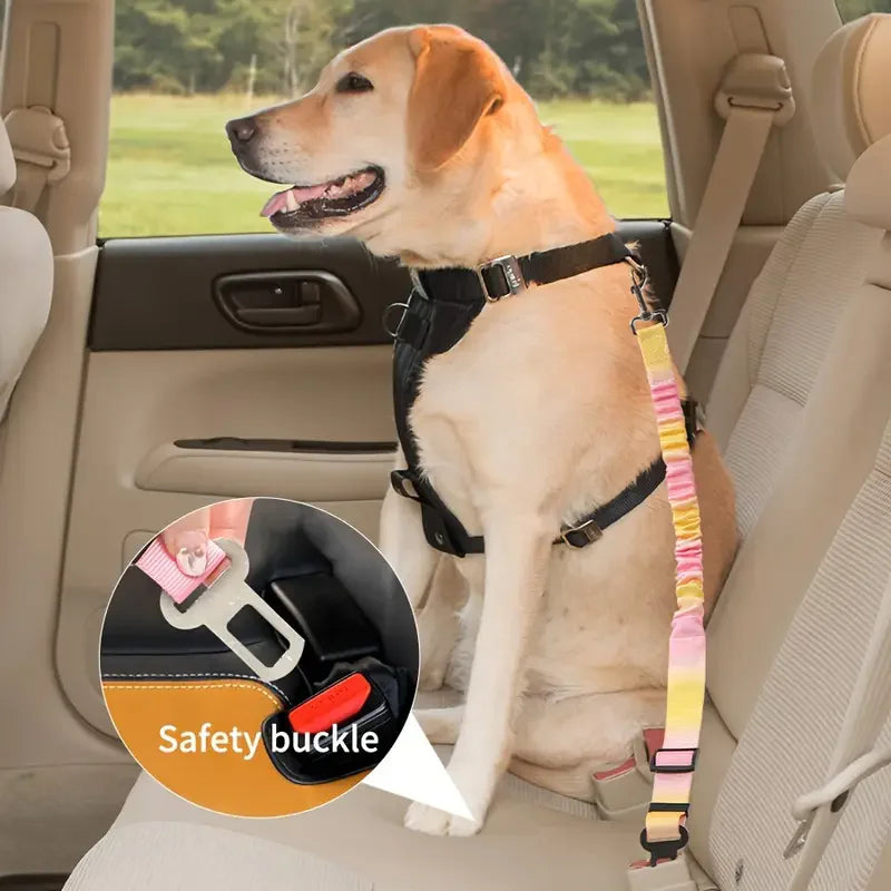 Dog sitting in a car with a harness and safety buckle highlighted
