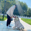 Dog enjoying the day with partner while staying completely dry in the Pet Shield waterproof pet coat.