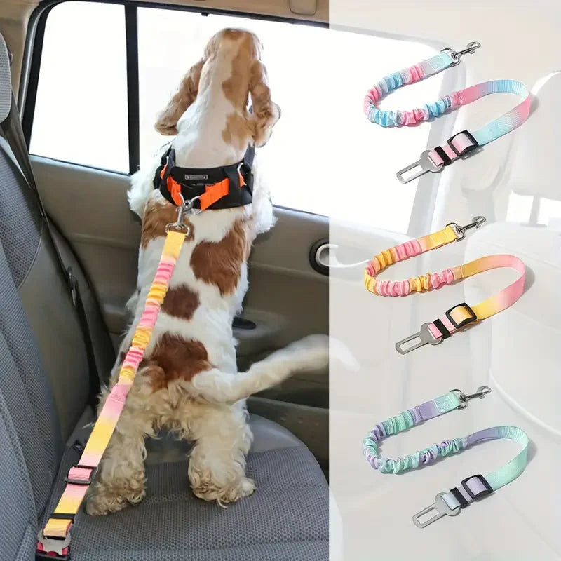 Dog wearing a colorful car seat belt with a side view of the seat belt and a dog on a car seat.