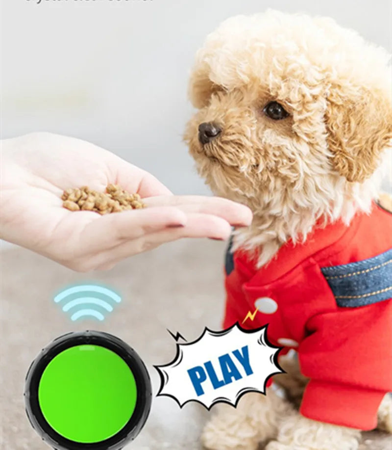 Dog wearing a red outfit with a hand feeding it, accompanied by a green button labeled 'PLAY'.