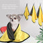 Dog wrapped in a yellow and black towel with hanging towels in the background