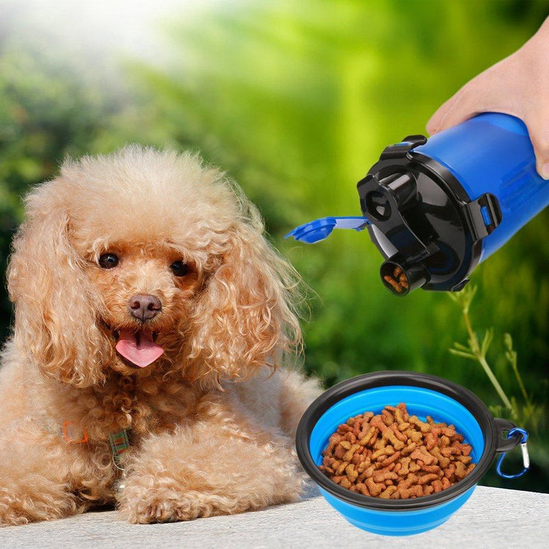 Dog with a blue water bottle and food bowl outdoors