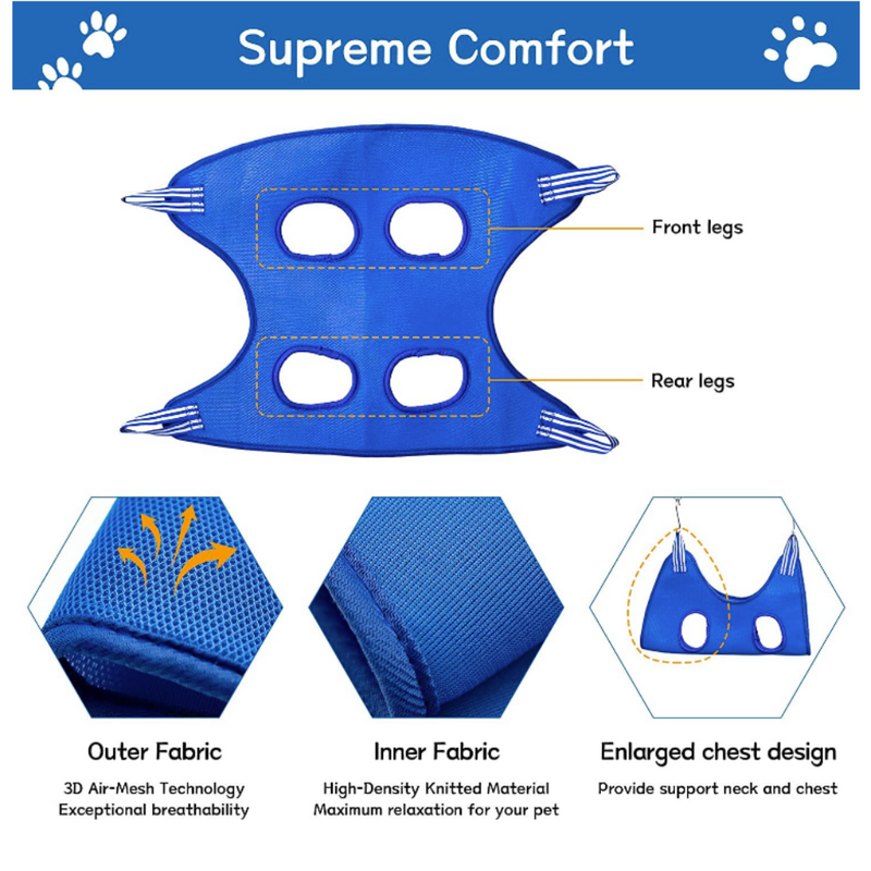 Blue pet harness with labeled features