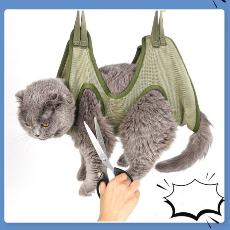 Cat in a green mesh hammock with a hand holding scissors 