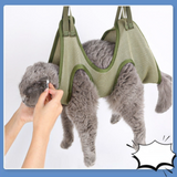 Cat being held in a green mesh carrier 