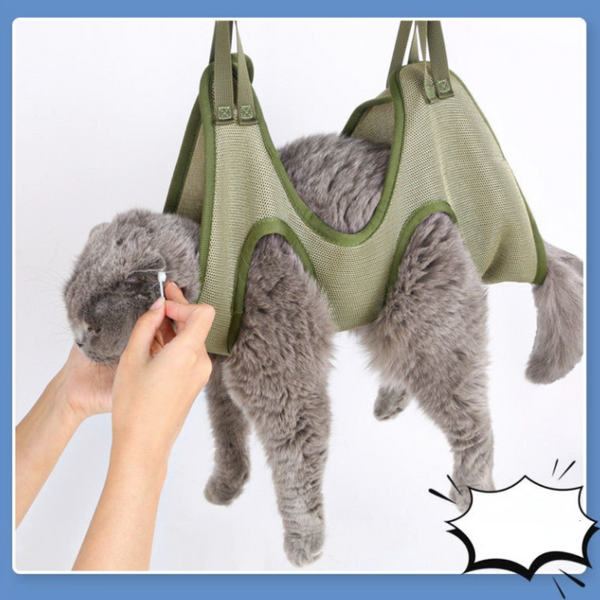 Cat being held in a green mesh carrier 