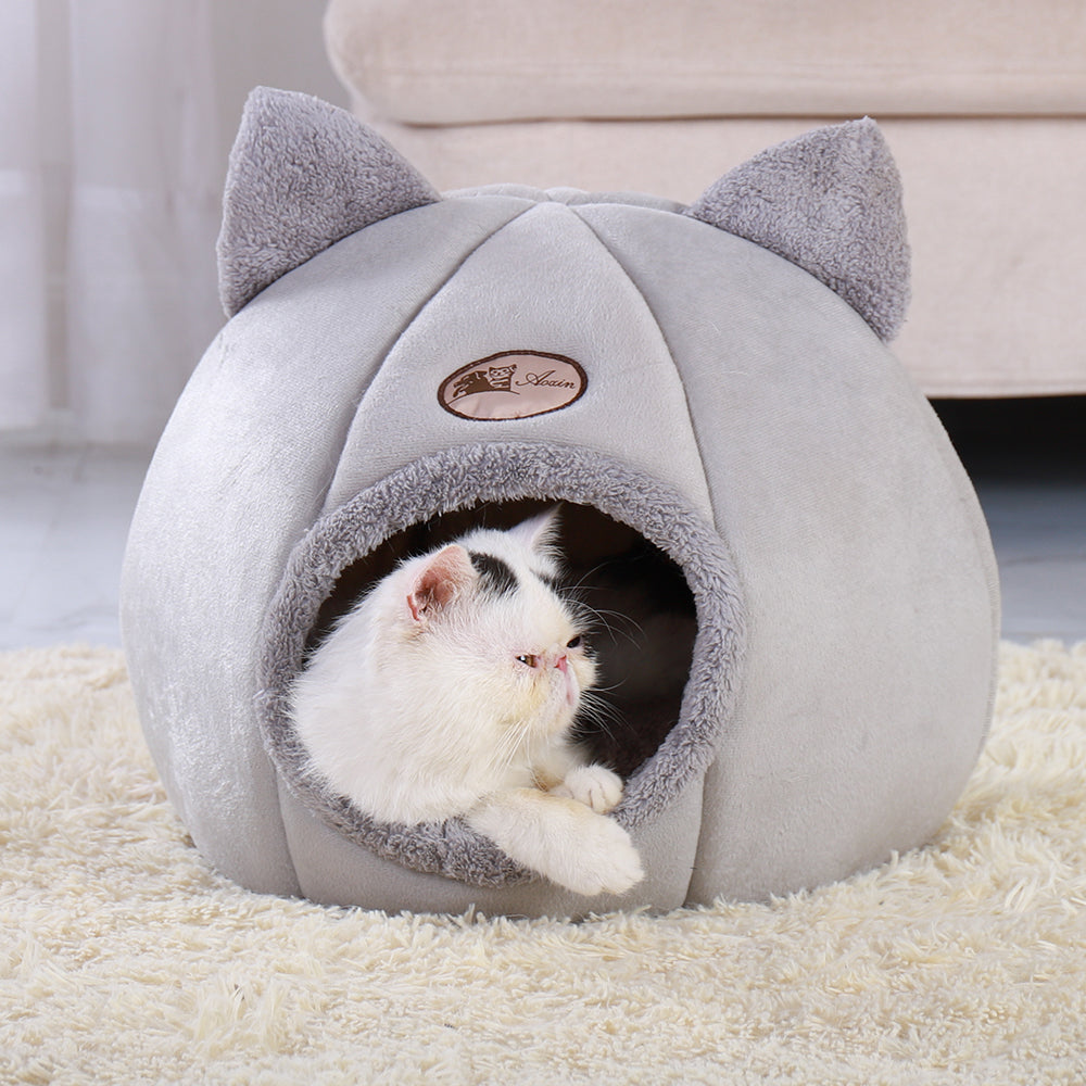 Cat lying inside a gray pet bed with cat ears on a carpeted floor.
