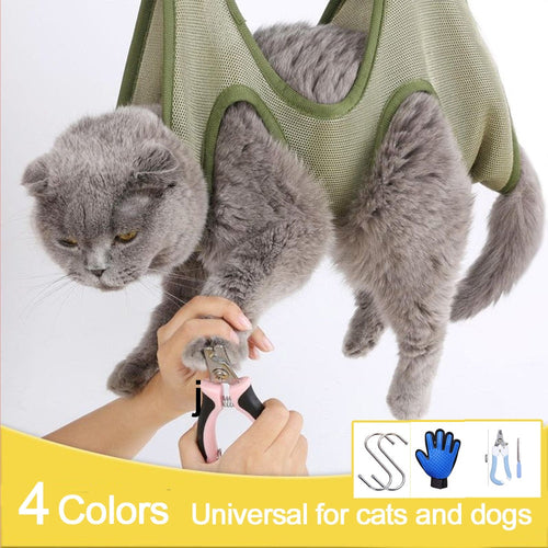 Cat in a green mesh carrier with a person holding a tool, on a white background.