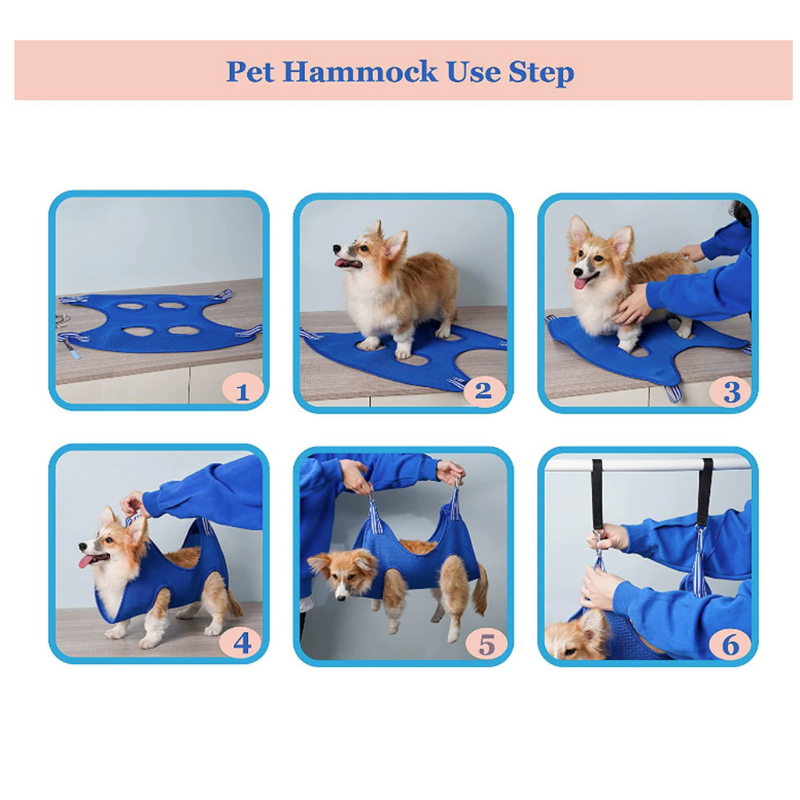 Step-by-step guide on how to use a pet hammock with a dog.