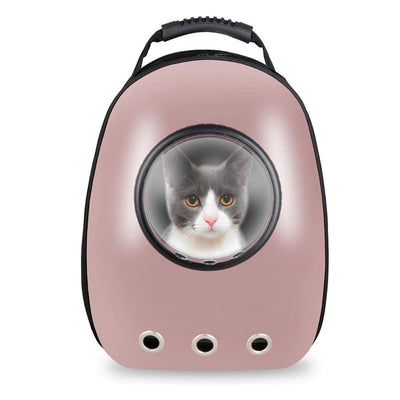 Pink pet carrier with a cat peeking out on a white background